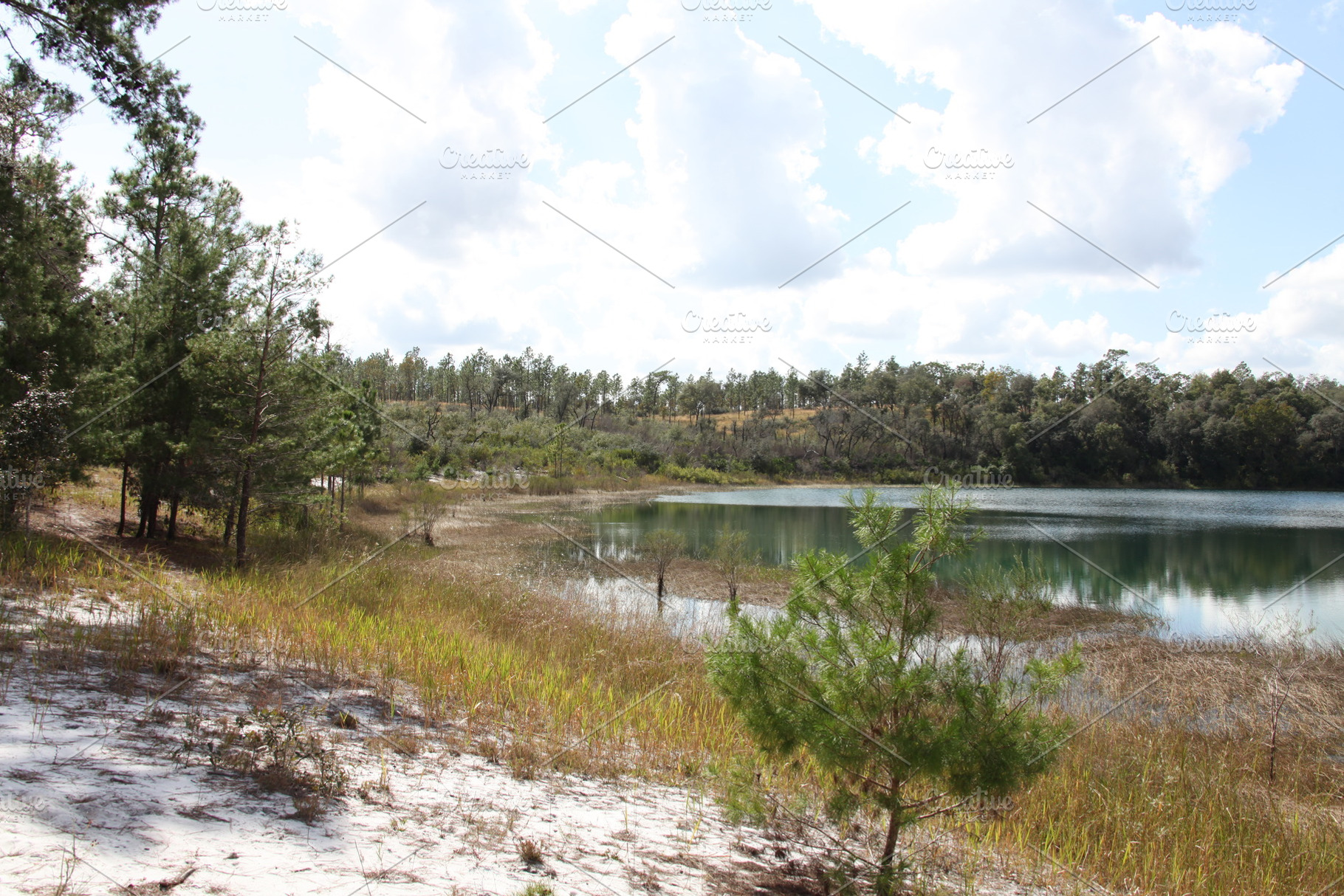 Lake in Gold Head Branch State Park, a Nature Photo by Viktor