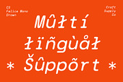 CS Felice Mono Drawn, a Sans Serif Font by Craft Supply Co. (Thumbnail 7 of 8)