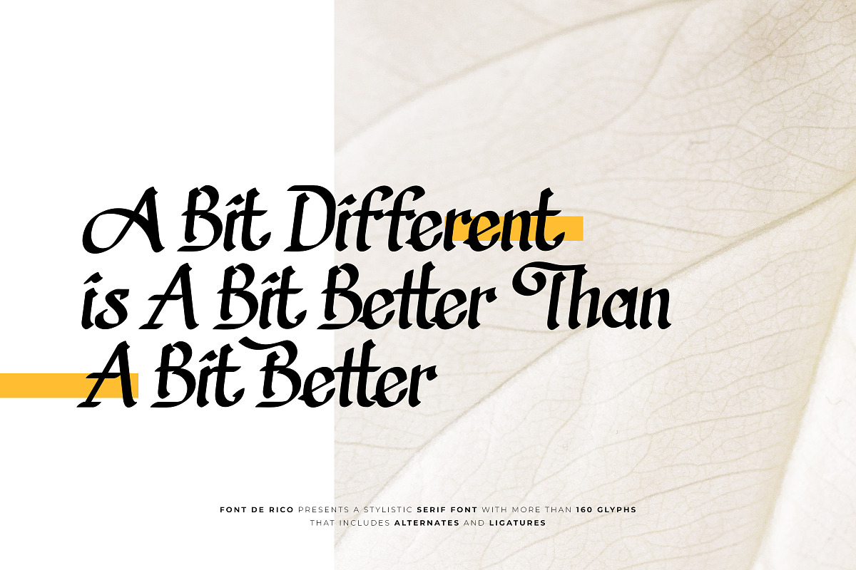 Marsheleena - Stylistic Serif Font, a Script Font by Font De Rico (Photo 3 of 8)