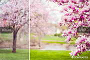 Spring Breeze Lightroom Presets, an Action Add-On by Contrastly Shop (Thumbnail 3 of 4)