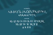 Bezoria - Elegant Serif Font, a Sans Serif Font by RHD Creative Studio (Thumbnail 9 of 9)