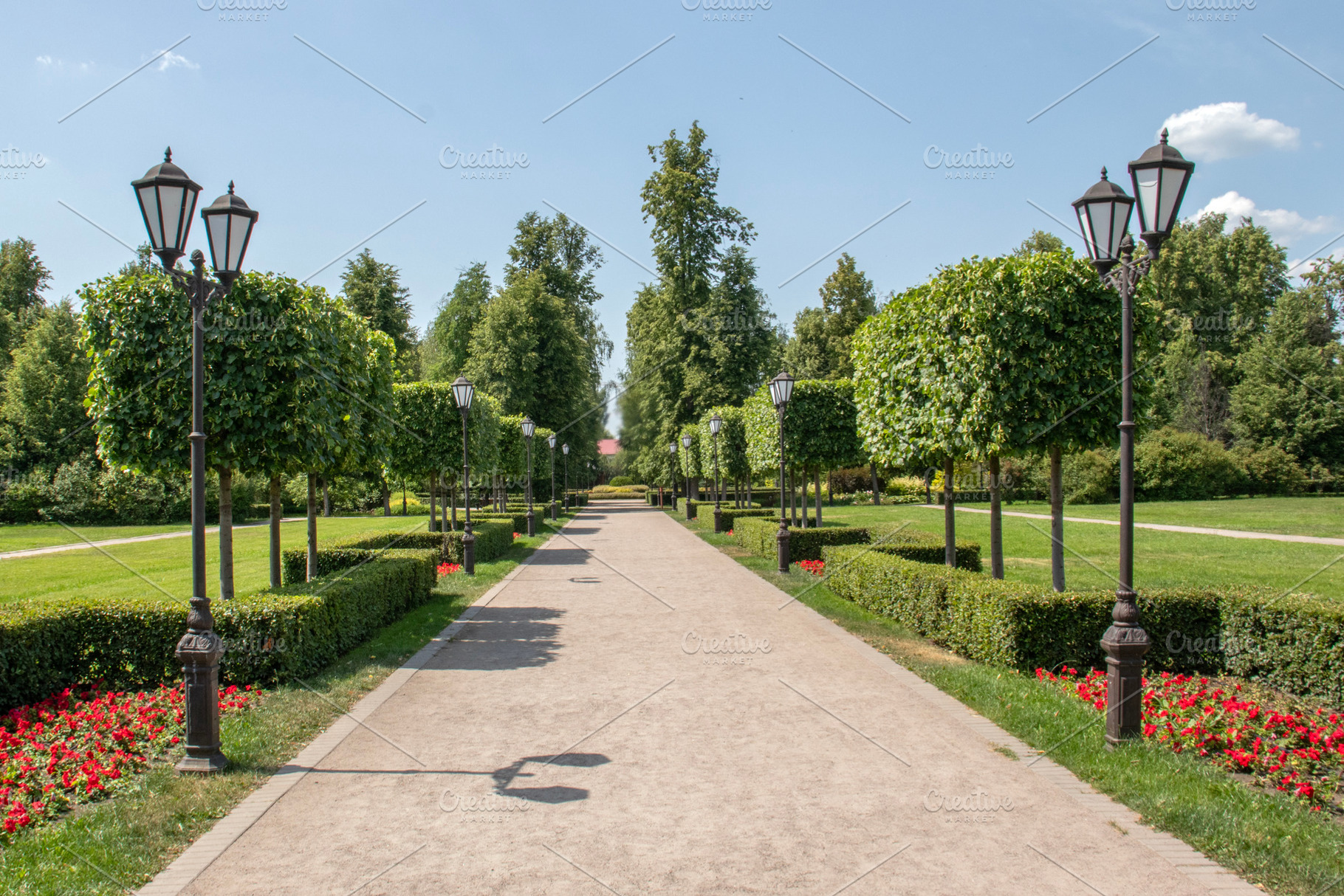 In a park in the village of Ramon, a Nature Photo by Schreibikus