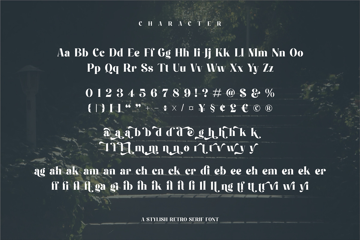 Montena Cottage Stylish Retro Serif, a Serif Font by Dylla_studio (Photo 9 of 10)