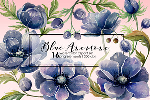 BLUE ANEMONE