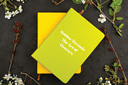 Kandess | Stylish Serif Font Trio, a Serif Font by Artdez (Thumbnail 4 of 5)