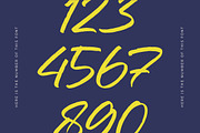 Mention Roberto Modern Brush Font, a Script Font by stylishtype.co (Thumbnail 13 of 20)