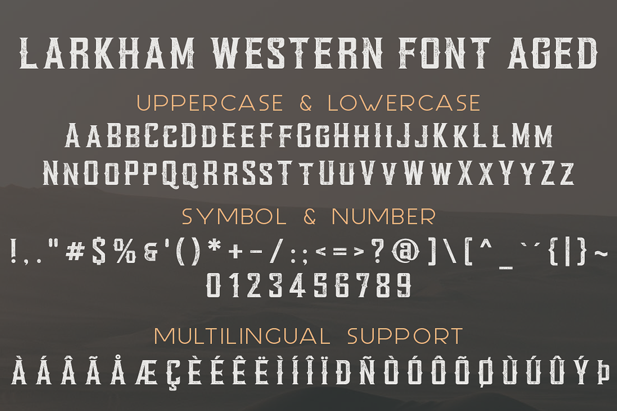 Larkham Vintage Font, a Serif Font by GlitzyGrapix (Photo 10 of 10)
