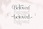 Dealoras Font Duo, a Serif Font by Attract Studio (Thumbnail 17 of 17)