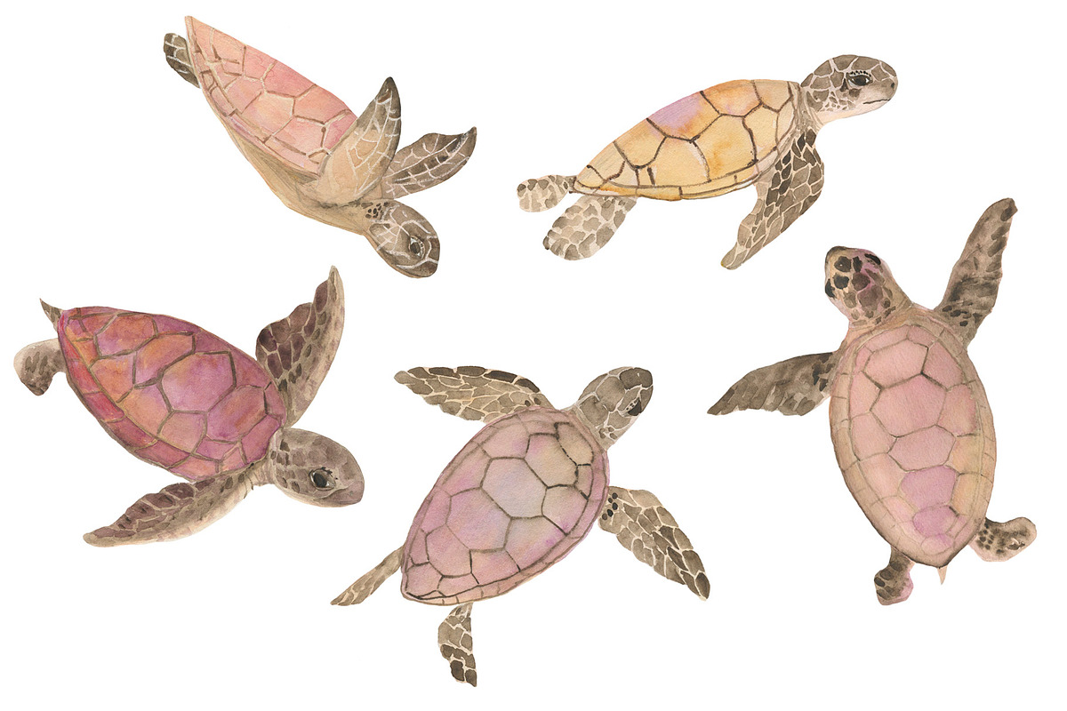 Sea turtles, an Animal Illustration by ramika (Photo 2 of 3)