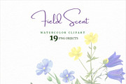 Field Watercolor Flowers, an Object Graphic by JSolomatina (Thumbnail 5 of 5)