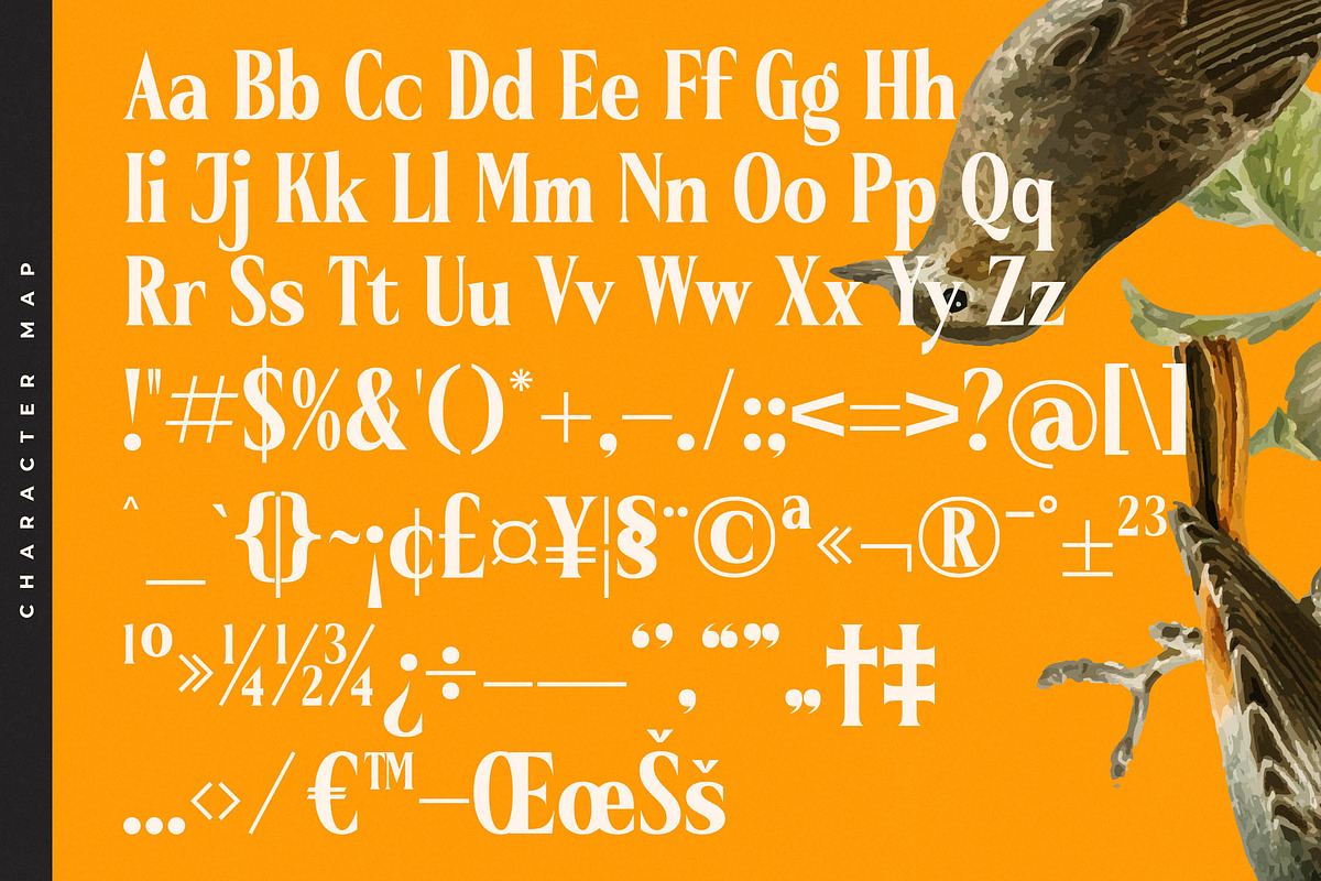 Belasfa Cantter Modern Serif Font, a Serif Font by timelesstype.co (Photo 18 of 20)