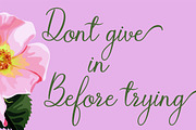 Richel, a Script Font by Gatype (Thumbnail 3 of 7)