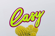 Sakura Font Family 25% OFF, a Script Font by ShowUp! Studio (Thumbnail 6 of 8)