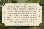 Amelissa Partis, a Serif Font by Madjack.font (Thumbnail 4 of 11)