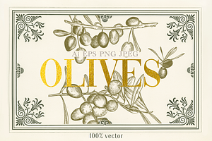 Olive Vector set, a Food Illustration by FleurArt