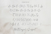 Bretya - Signature Script Font, a Script Font by Flawless And Co (Thumbnail 8 of 10)