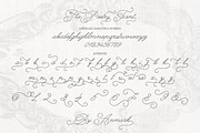 The Poetry Elegant Swash Script Font, a Script Font by AnMark (Thumbnail 6 of 13)