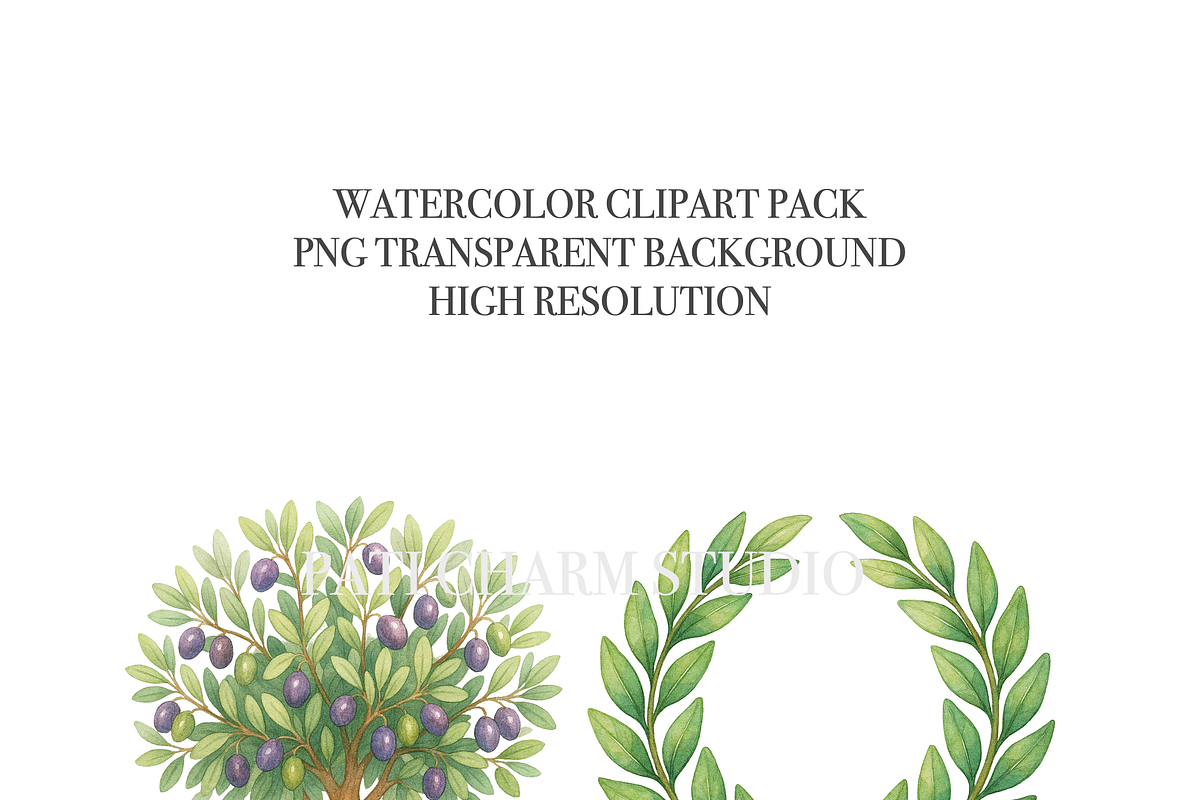 27 Olive Garden Clipart, a Food Illustration by Pati Charm Studio (Photo 4 of 8)