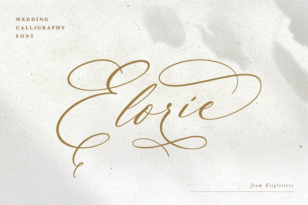 Elorie Calligraphy Script, a Script Font by etigletters (Photo 2 of 12)