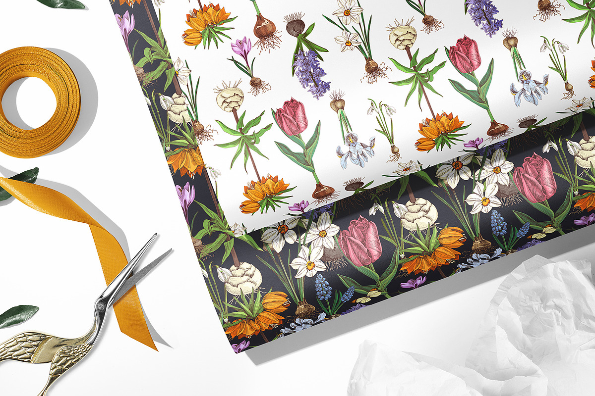 Spring Bulbous flowers, a Decorative Illustration by handsketched (Photo 6 of 10)