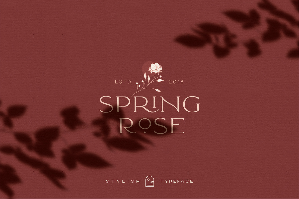 Elegant Karin - Stylish Typeface, a Serif Font by Kaligra.co (Photo 19 of 28)