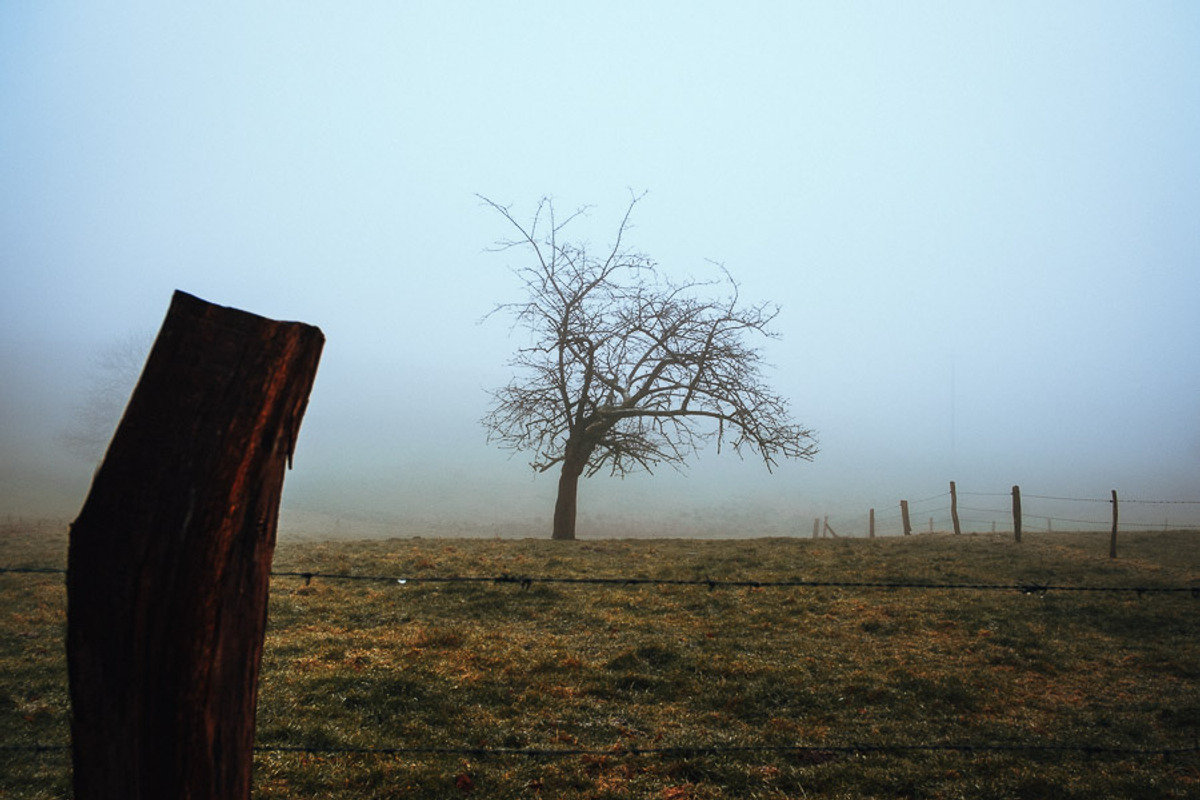 Foggy Day Lightroom Preset, an Action Add-On by Daniel Bartel (Photo 3 of 7)