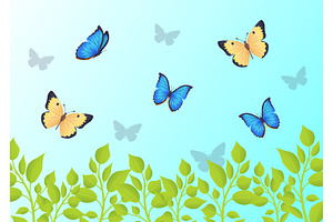 Butterflies That Fly Over Green Grass In Blue Sky