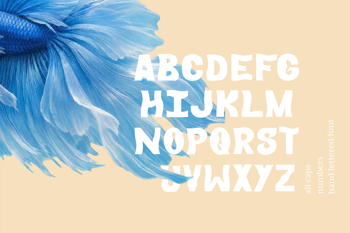 High Tides Hand Drawn Display Font, a Sans Serif Font by Little Creative Scribbles (Photo 2 of 6)