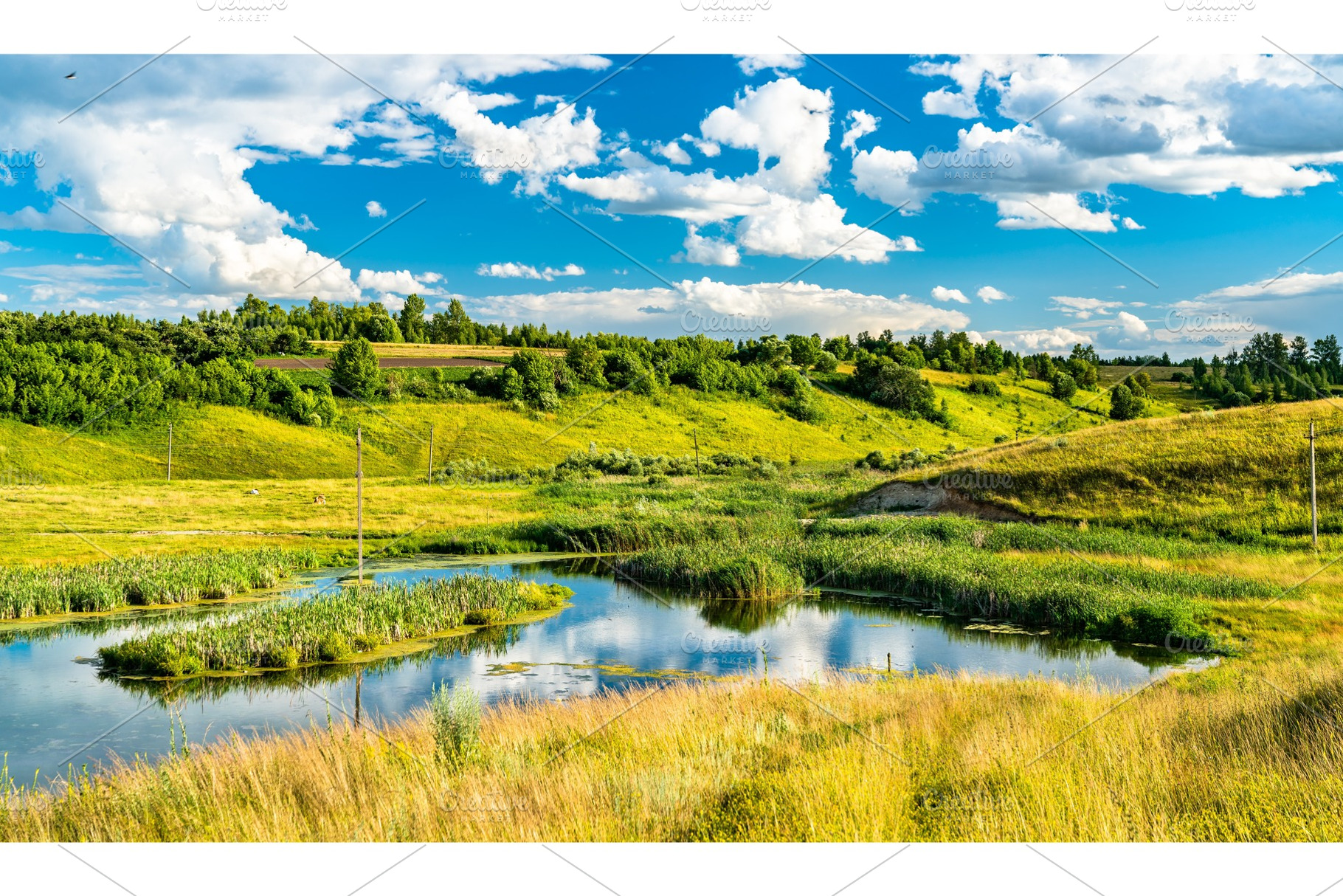 Lake in bolshoe gorodkovo kursk stock photo containing russia and lake, a Nature Photo by Leonid Andronov