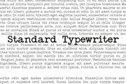 Standard Typewriter, a Serif Font by Intellecta Design (Thumbnail 5 of 8)