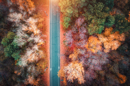 Aerial view of road in autumn forest containing aerial, road, and view, a Transportation Photo by den-belitsky