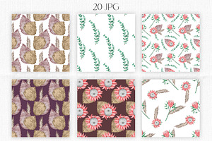 Watercolor Protea Boho Patterns