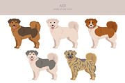Aidi dog clipart, an Animal Illustration by pet design shop (Thumbnail 4 of 6)
