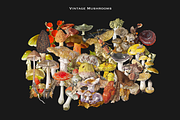 SALE! 3000+ Vintage Collage Bundle, an Object Graphic by Lilithcollageart (Thumbnail 10 of 19)