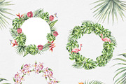 TROPICAL FOREST - Watercolor set, an Animal Illustration by Navenzeles (Thumbnail 8 of 16)