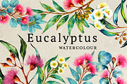 Watercolor Eucalyptus, a Decorative Illustration by Karliefie (Thumbnail 1 of 4)