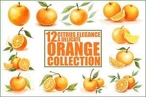Watercolor Orange Clipart Bundle, an Illustration by BIPLOB EXPERT