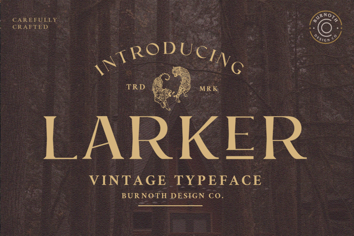 Larker, a Sans Serif Font by Burnoth Design Co. (Photo 1 of 9)