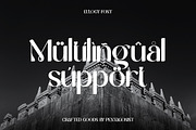 Eulogy | Variable Font Family, a Serif Font by Pentagonistudio (Thumbnail 9 of 9)