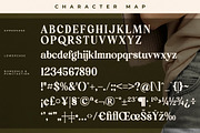 Qeldorat Modern Serif Font, a Serif Font by Letterena Studios (Thumbnail 13 of 15)