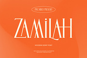 Zamilah Modern Serif Display, a Serif Font by timelesstype.co (Thumbnail 1 of 20)