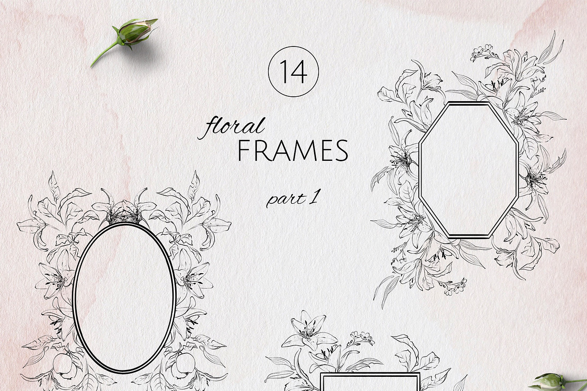IN MY GARDEN line art florals, a Decorative Illustration by Yuliia Lashevska (Photo 3 of 11)