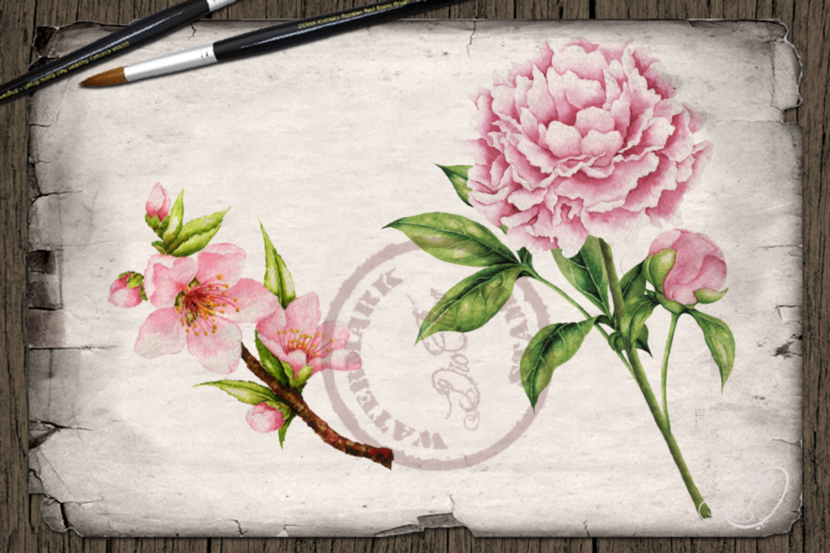 US State Flowers Part 2 Illustration, a Decorative Illustration by DioFlow (Photo 2 of 5)