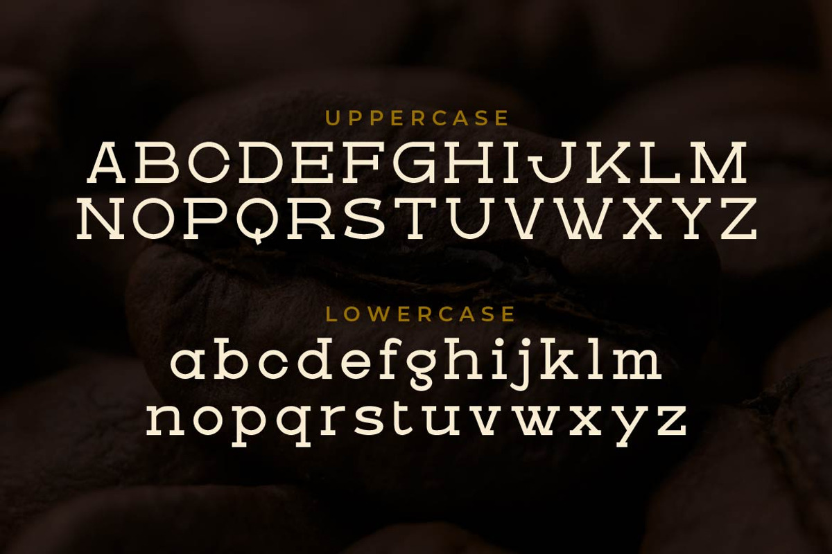Wedank – Contemporary Slab Font, a Slab Serif Font by Artiveko (Photo 4 of 8)