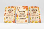 Autumn Fall Flyer Templates, a Flyer Template by BrandPacks (Thumbnail 2 of 7)