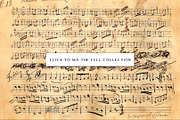Vintage Textures & Ephemera Bundle, a Texture Graphic by Century Library (Thumbnail 14 of 21)