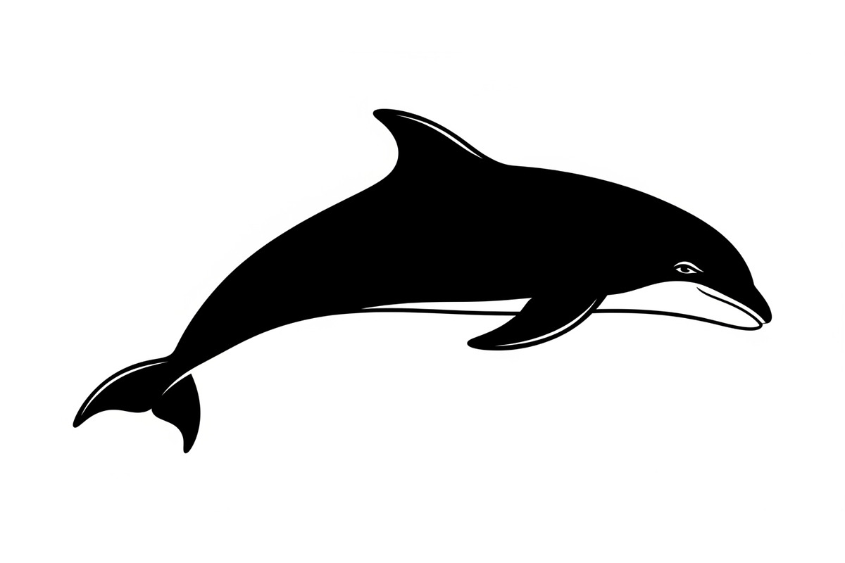 Dolphin Jumping Silhouette Vector, an Illustration by Designs_River (Photo 27 of 51)