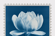 Lupa Co · Cyanotype Botanical Stamps, a Texture Illustration by milatovar (Thumbnail 14 of 18)