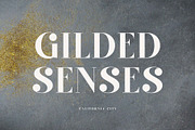 Sangeva – Elegant Modern Serif Font, a Serif Font by BrandSemut (Thumbnail 4 of 8)