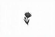 Minimal Flower Vector Pack, an Illustration by musafir_fashion (Thumbnail 16 of 21)